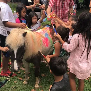 Pony painting