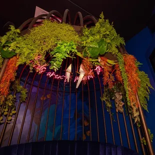 Bird Cage