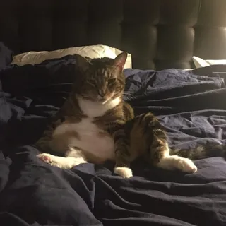 Karen K.