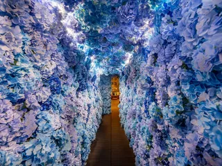 PHD Terrace at Dream Midtown