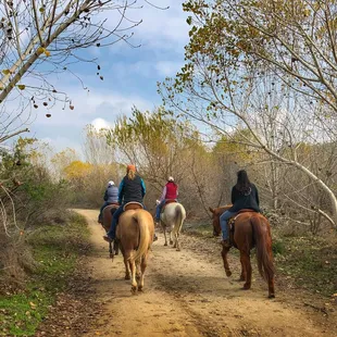 Equestrians love the Preserve because of its miles of trails.