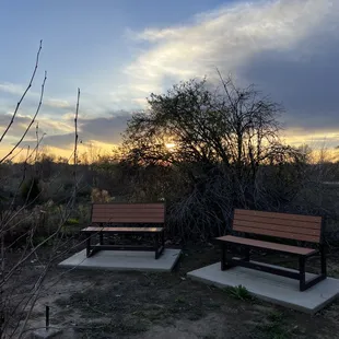 Two memorial benches