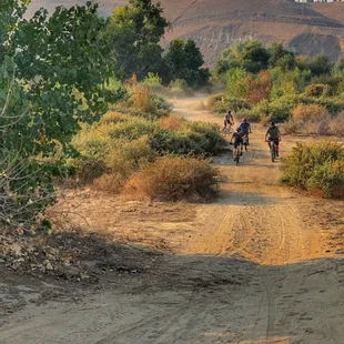 Cyclists love the Preserve because of its miles of dirt and gravel roads. (E-bikes and motorcycles are prohibited, though.)