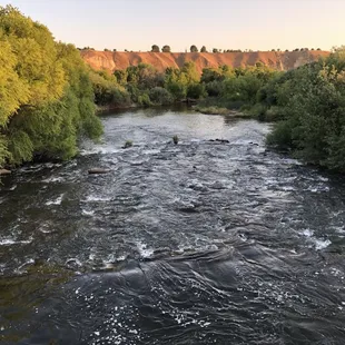 Rocky Point Weir in the Preserve provides one of the most beautiful views of the Kern River and Panorama Bluffs.