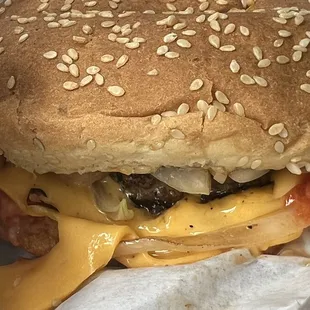 Hot juicy cheese burger with delicious fried onions!