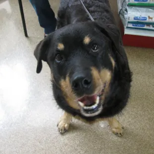 Merlin. We Love this guy!