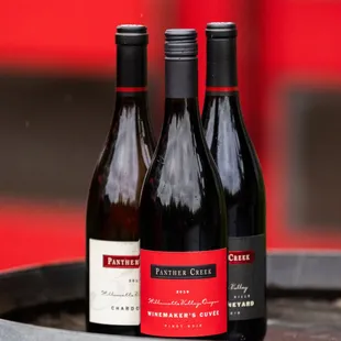 Enjoy World Class Oregon Pinots | Woodinville Wine Tasting