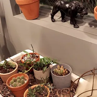 In bathroom wait area