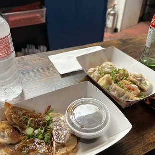 Birria Dumplings