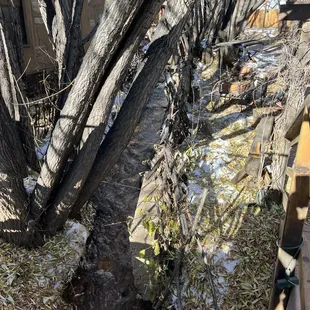 The creek next to the restaurant and their outside seating area in warm weather.