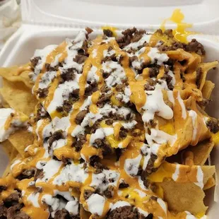 Asada nachos