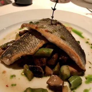 Pesce Del Giorno