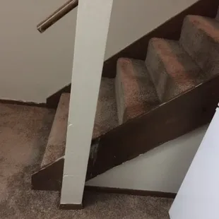 New Carpet, old everything else.