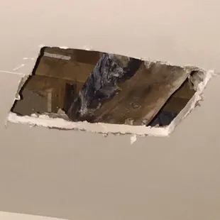 Zoom in with caution, its gross.