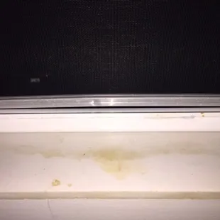 Screen view, allows all the bugs in.