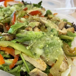 Panzon Salad con Pollo