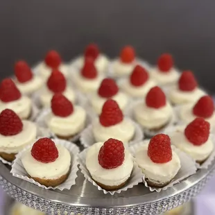 Mini Cheescakes