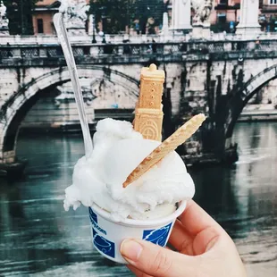 Lemon sorbet and stracciatella gelato  Delicious!