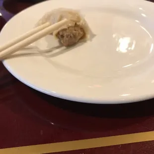 Pan Fried Pork Dumplings