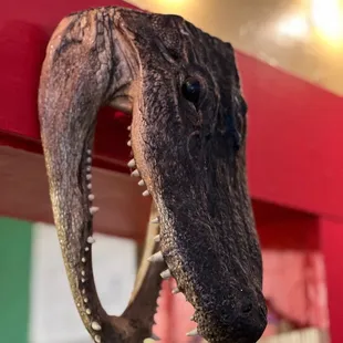 Alligator decoration