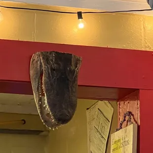 a dinosaur head hanging from the ceiling