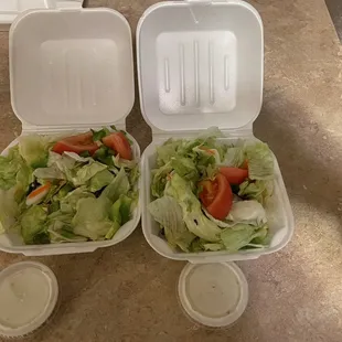 Side salad all lettuce other than two pieces of tomato