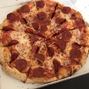 Cheese and pepperoni large pizza