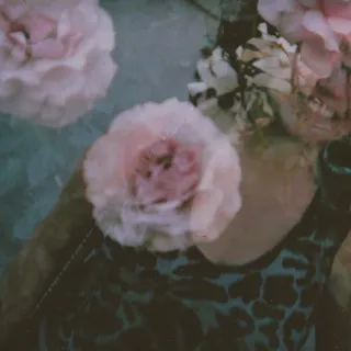 Crystal C.