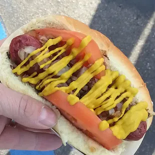 Gator Dog