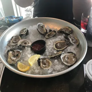 Oysters