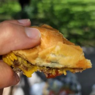 Mold on kids cheeseburger