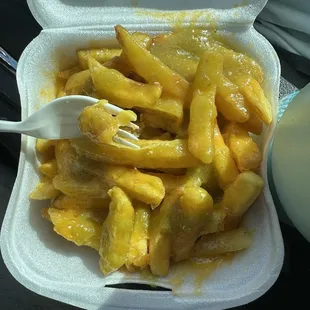 Cheese fries with fresh salsa to make it not so dry and rubbery