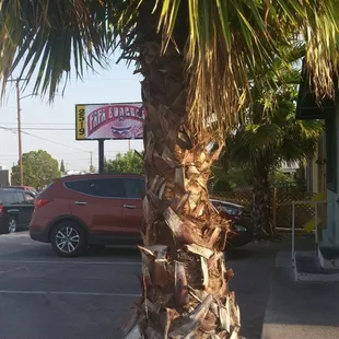 If it wasnt for the sign you wouldnt know its a burger joint.