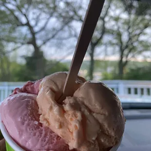 Strawberry Swirl and Georgia Peach Gelato