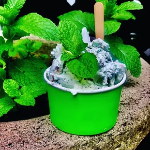 Mint Chip Gelato