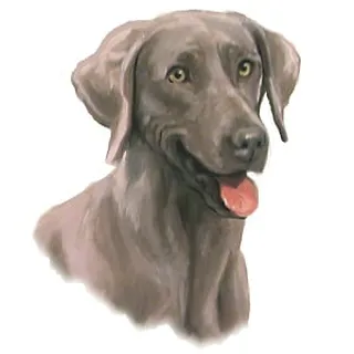 Eldon P.