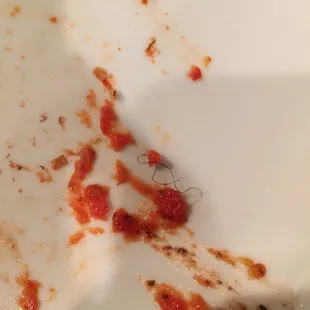 Hair my son found in his pizza!!!