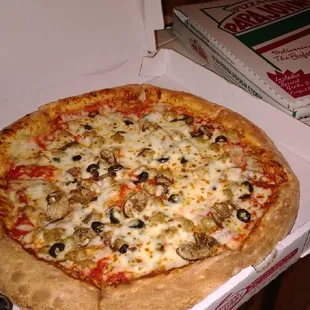 Whole large pizza with three toppings: sausage, mushroom and olives.