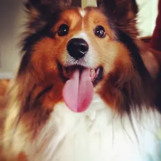 Jo R.