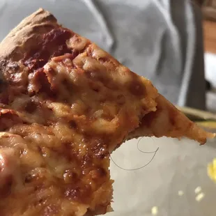 Cheese pizza with hair baked into the cheese! Yuck!