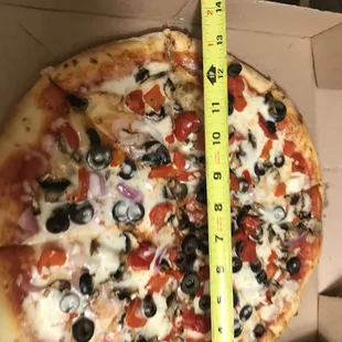 the size of the pizza