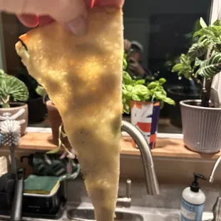 Back of pizza light through it