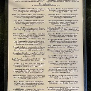Updated Back