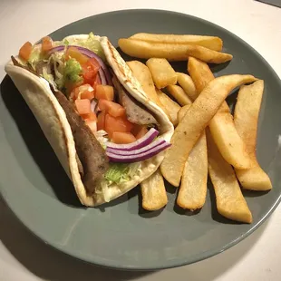 Gyro and Fries. (on my plate from home)