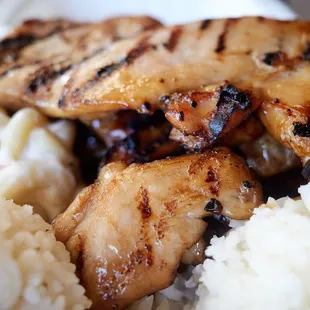 Teri chicken (regular)