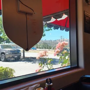 View out front window