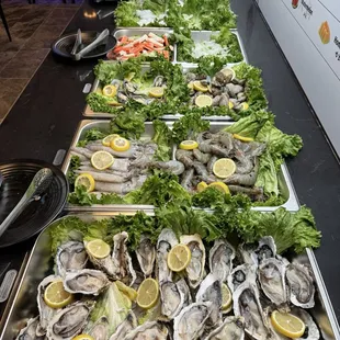 oysters and mussels, interior