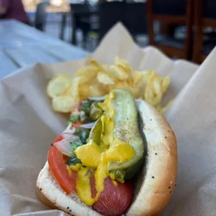 Chicago dog