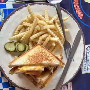 Grilled Chicken Melt and fries