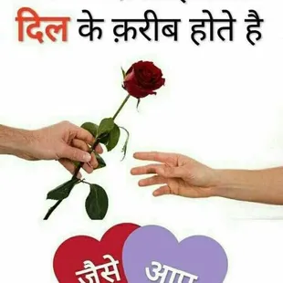 two hands reaching for a rose